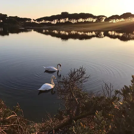 Center Old Town By The Sea *