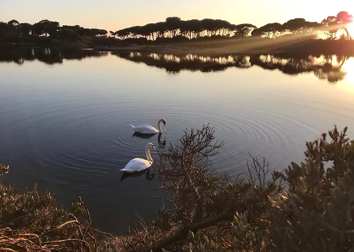 Center Old Town By The Sea *